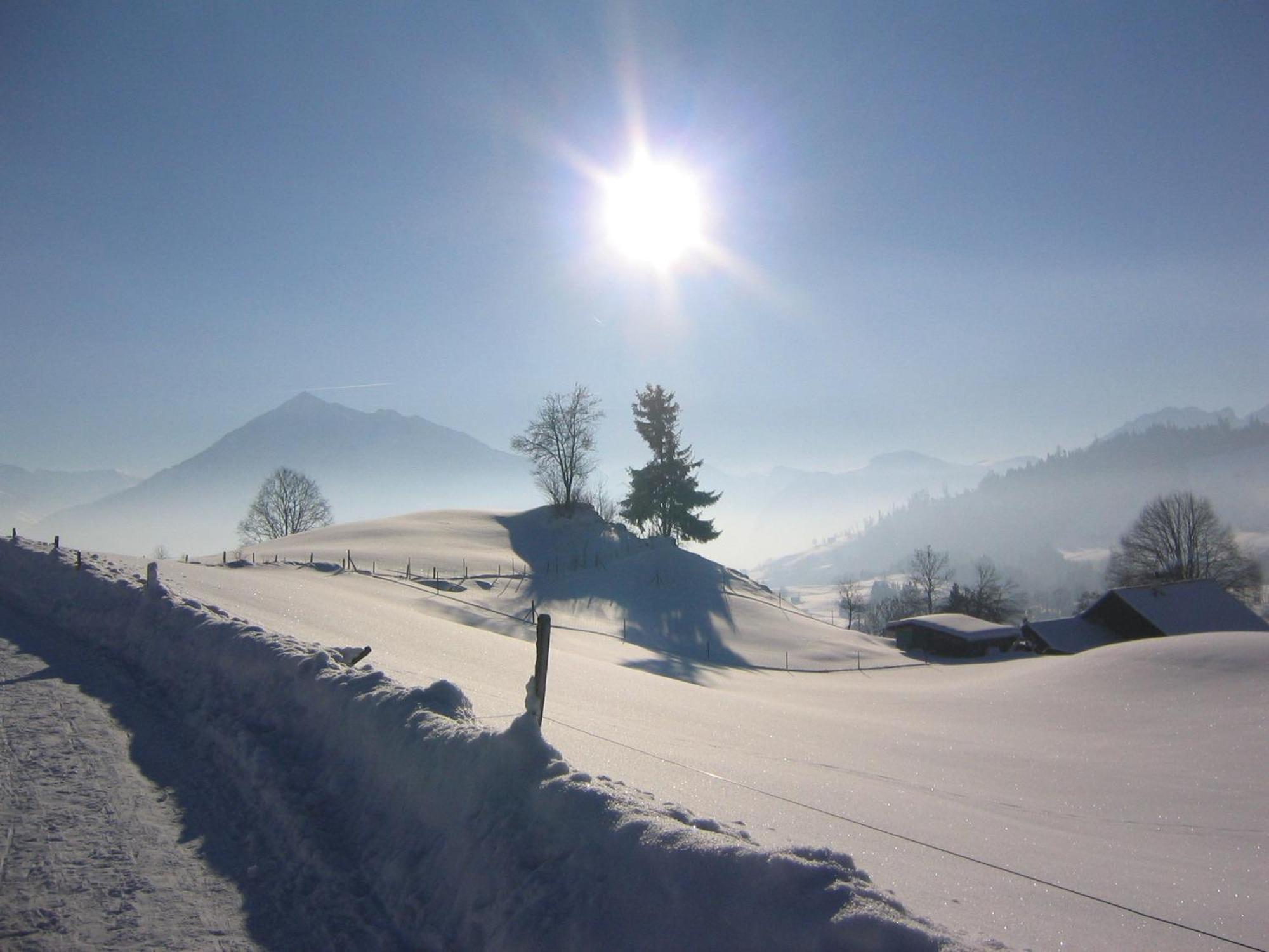 Chalet Sunneschyn Schwanden  Εξωτερικό φωτογραφία