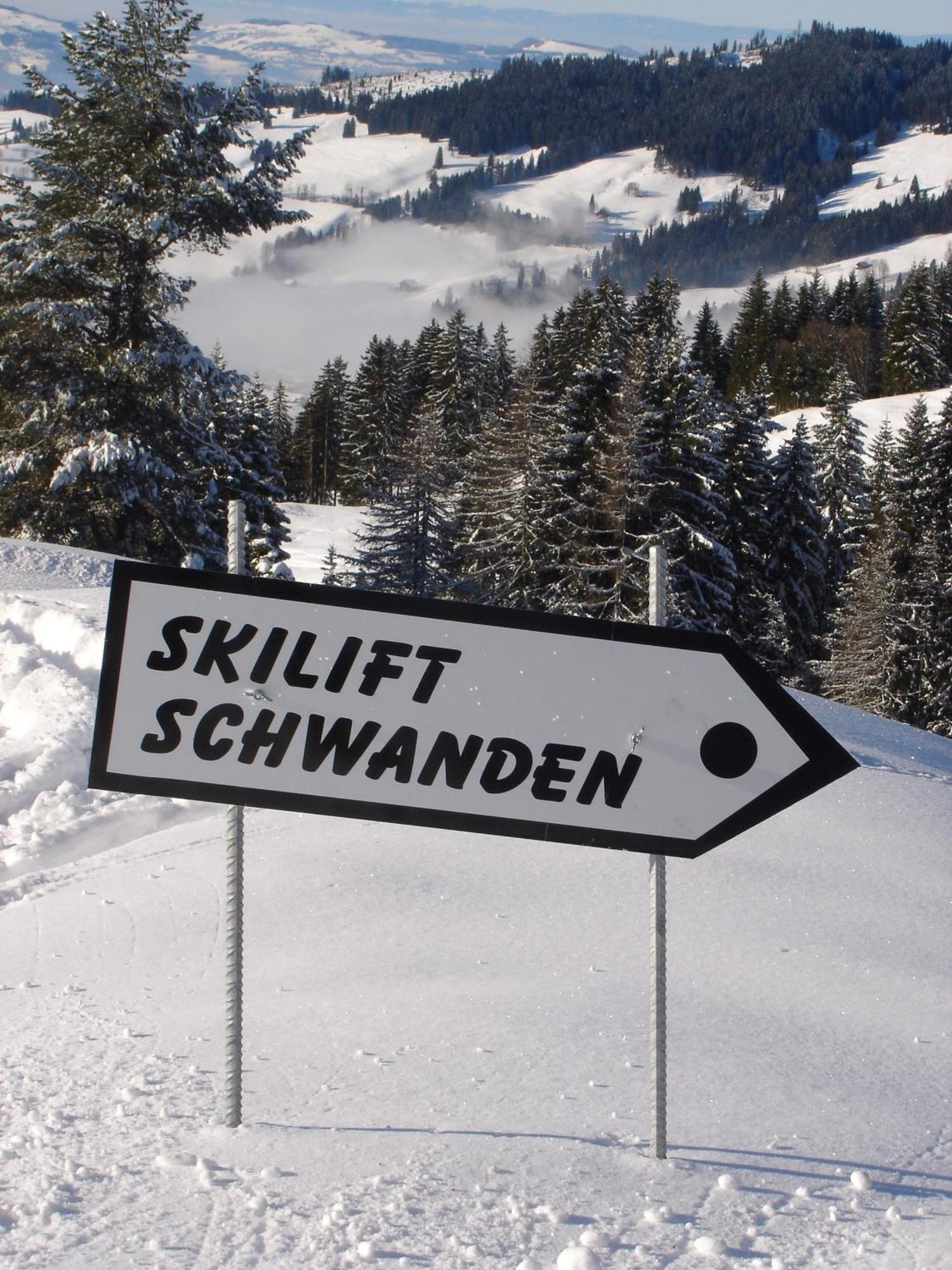 Chalet Sunneschyn Schwanden  Εξωτερικό φωτογραφία