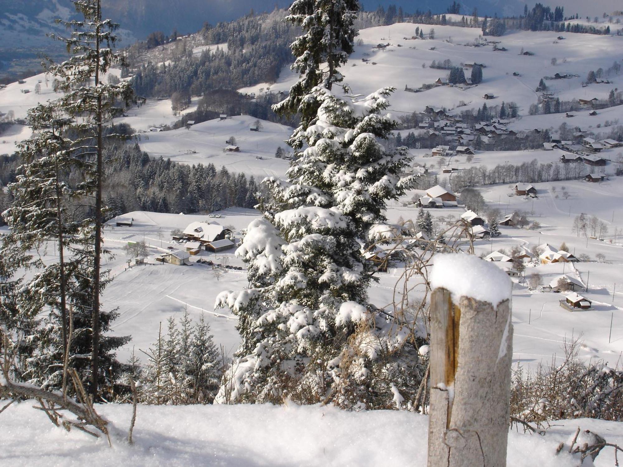 Chalet Sunneschyn Schwanden  Εξωτερικό φωτογραφία