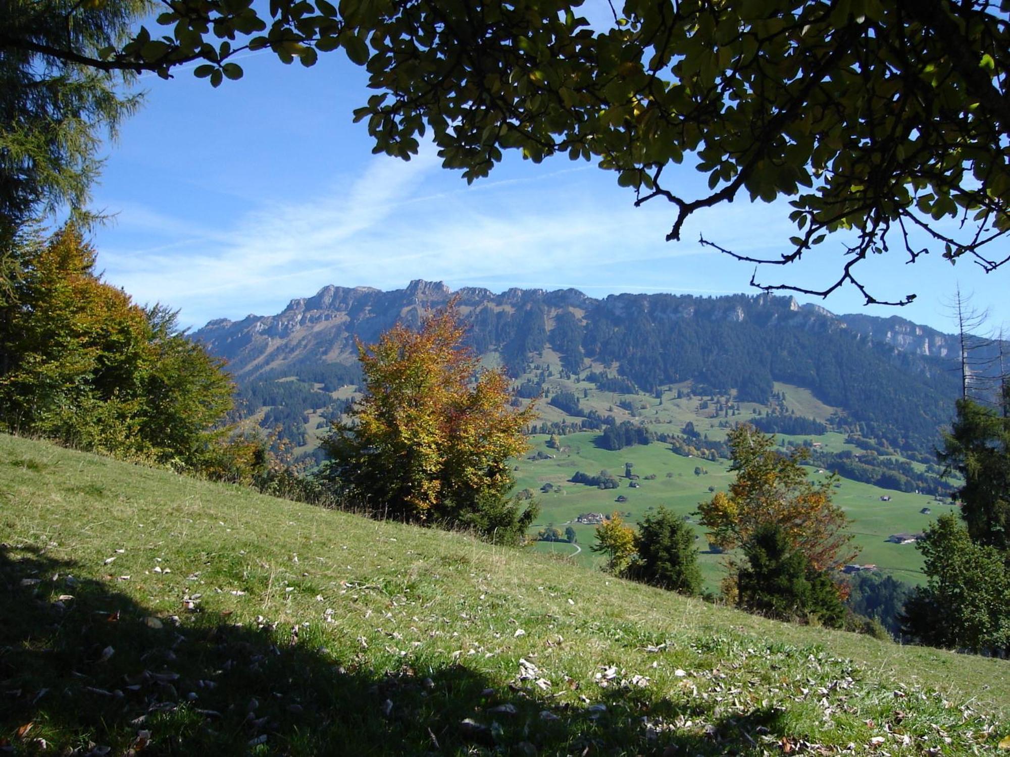 Chalet Sunneschyn Schwanden  Εξωτερικό φωτογραφία